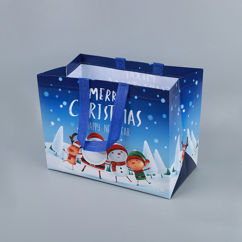 Christmas holiday bag