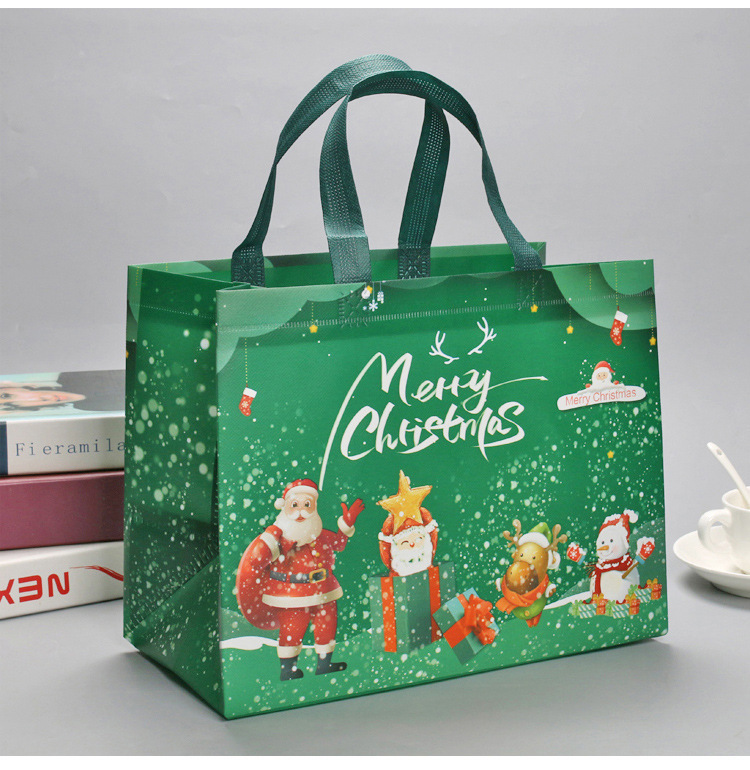 2025 Christmas holiday bags